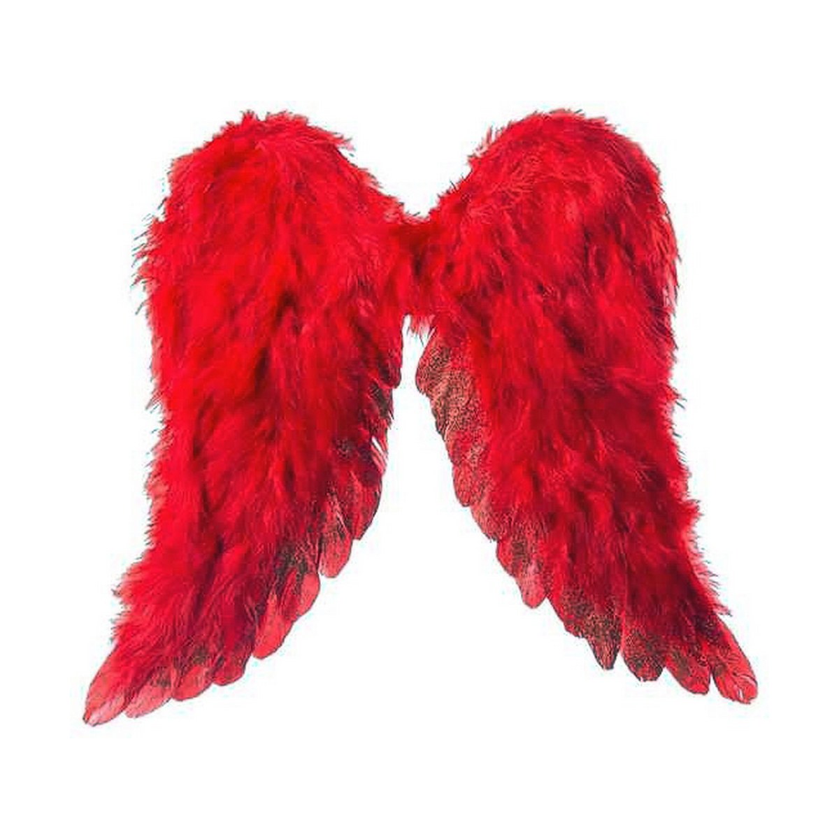 Angel Wings Red (45 x 39 cm)