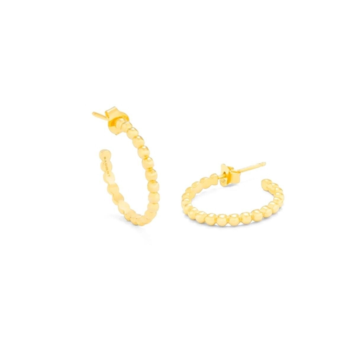 Ladies' Earrings RY000016