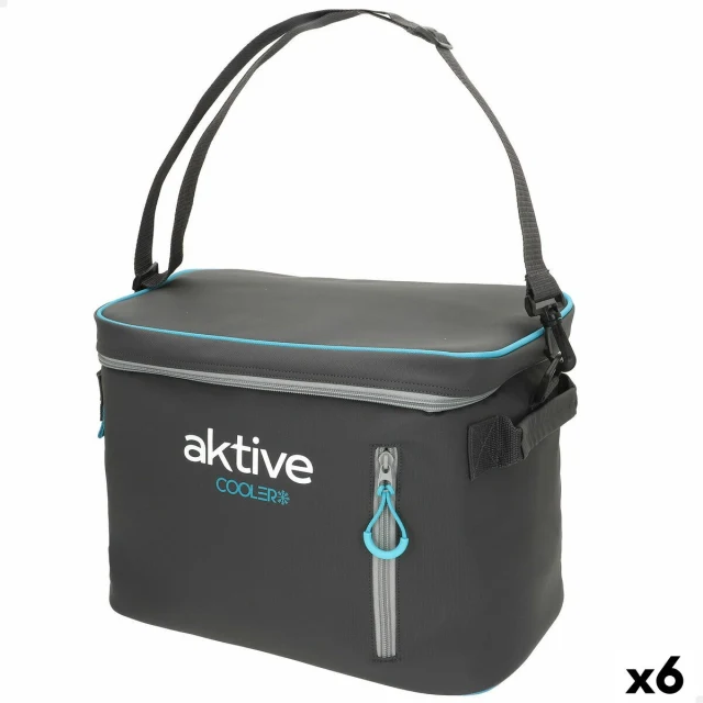 Portable Fridge Black Polyester PEVA Foam 18 L 34 x 26 x 21 cm (6 Units)