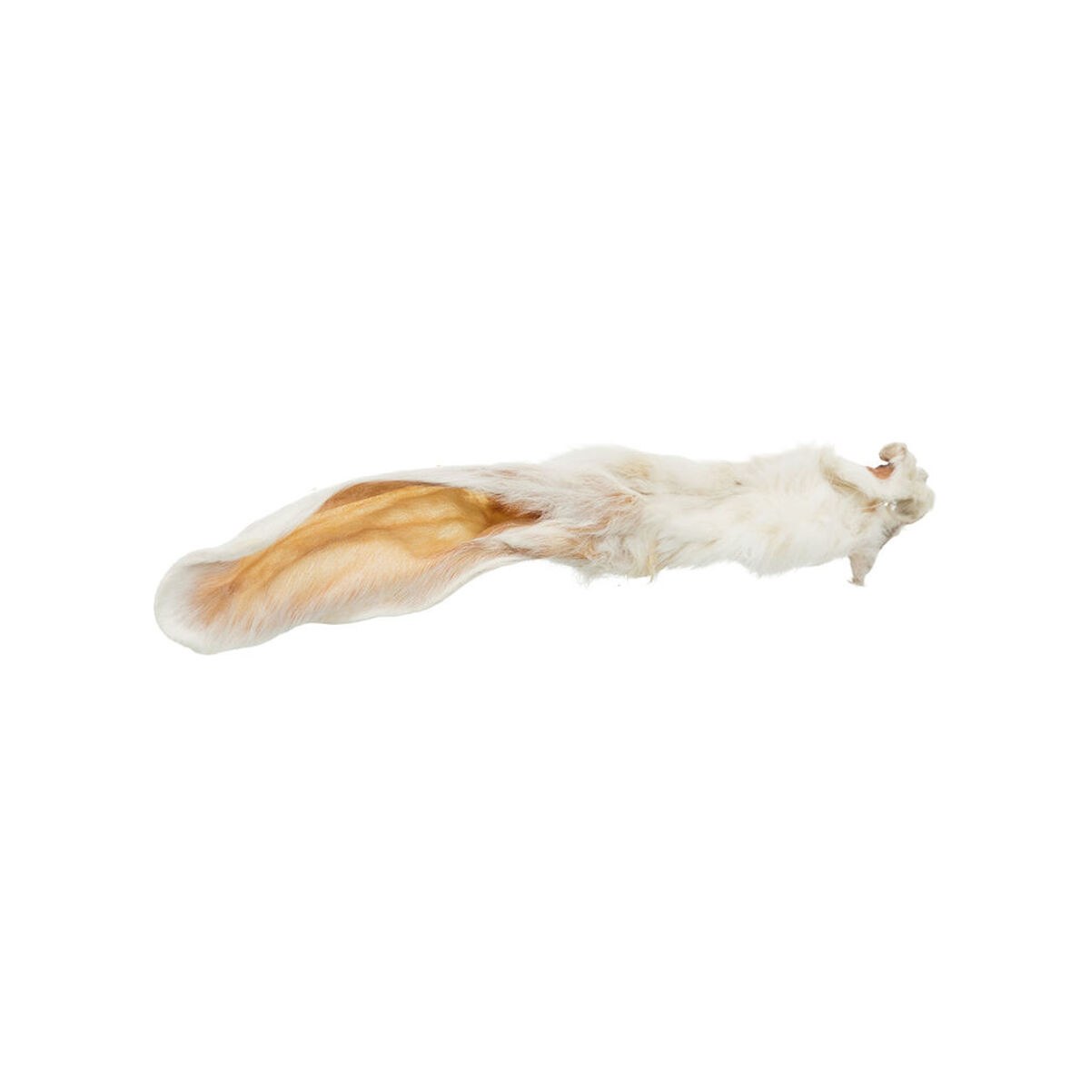 Dog Snack Rabbit Ears