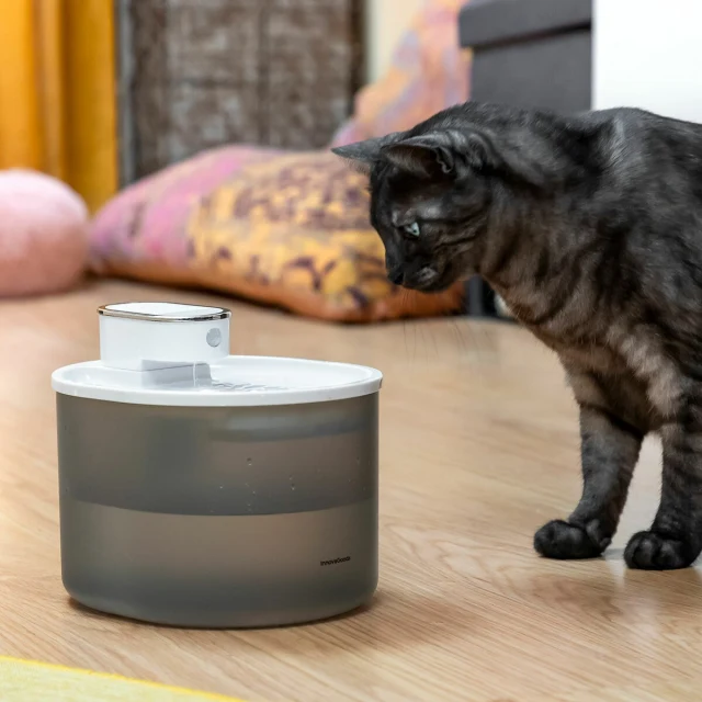 Rechargeable Cat Water Fountain with Sensor Refopet