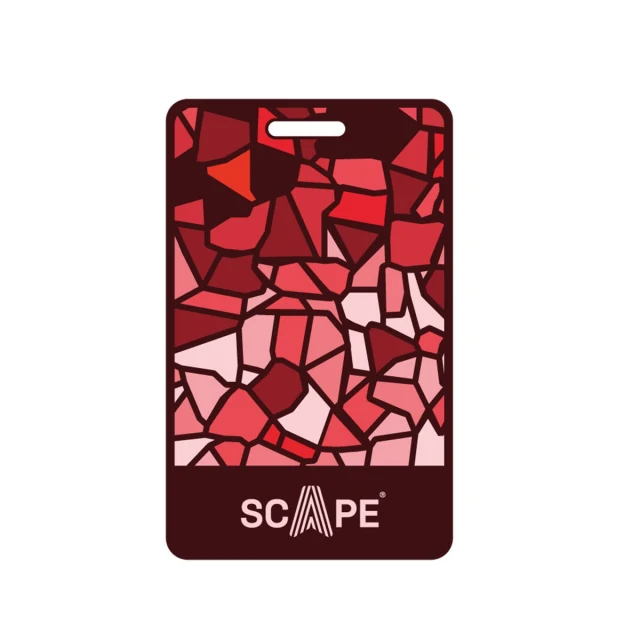 Suitcase Identification Tags Red
