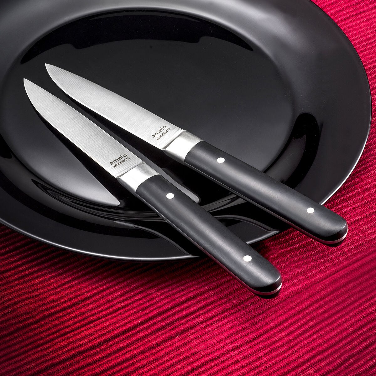 Meat Knife Set Fusion Bicoloured Metal 12 Units 22 x 1,8 x 1,2 cm