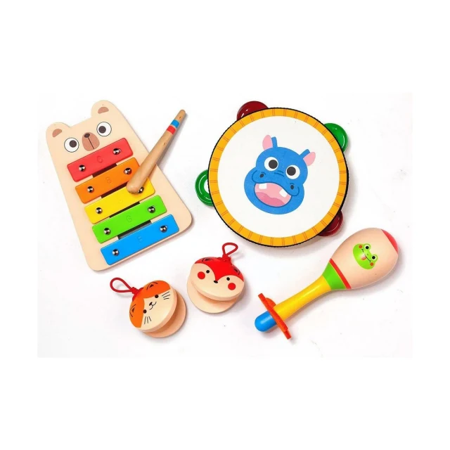 Musical Toy Musical Set