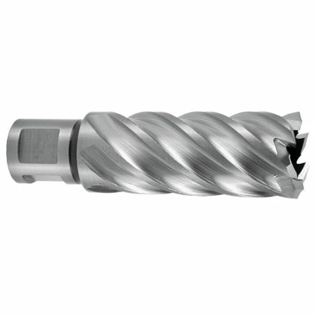 Hollow drill bit Ø 20 mm Weldon