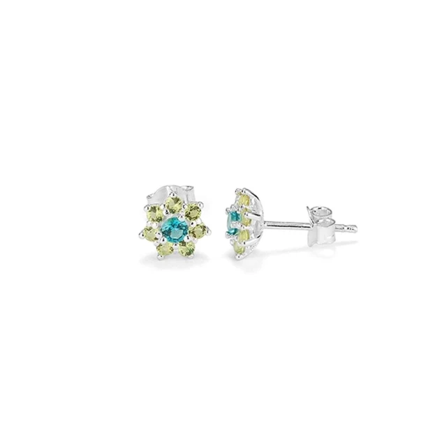 Ladies' Earrings RY000109