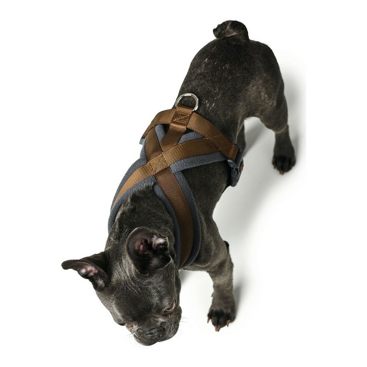 Dog Harness London Comfort 48-56 cm Brown Size S/M