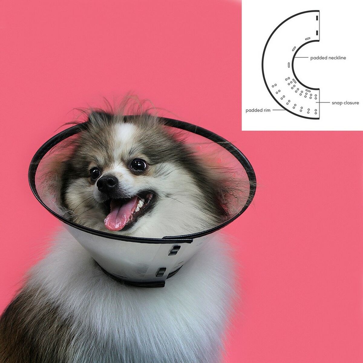 Elizabethan Dog Collar Saf-T-Clear Transparent (15-23 cm)