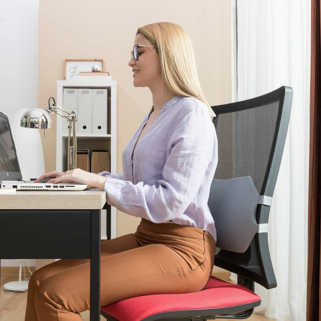 Gel Lumbar Cushion with Removable Cover Glushion