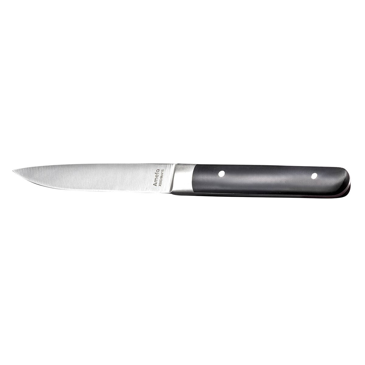 Meat Knife Set Fusion Bicoloured Metal 12 Units 22 x 1,8 x 1,2 cm