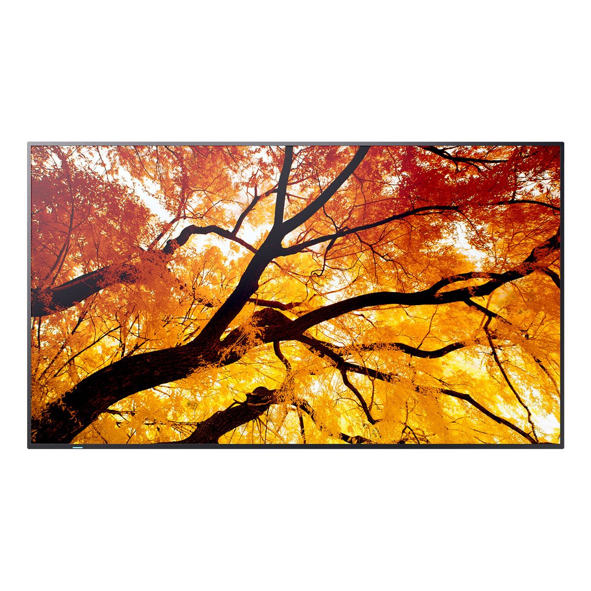 Videowall Monitor 60006058 4K Ultra HD 86"