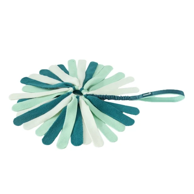 Dog toy PUPPY & MINI TUGGI SPIDER Green