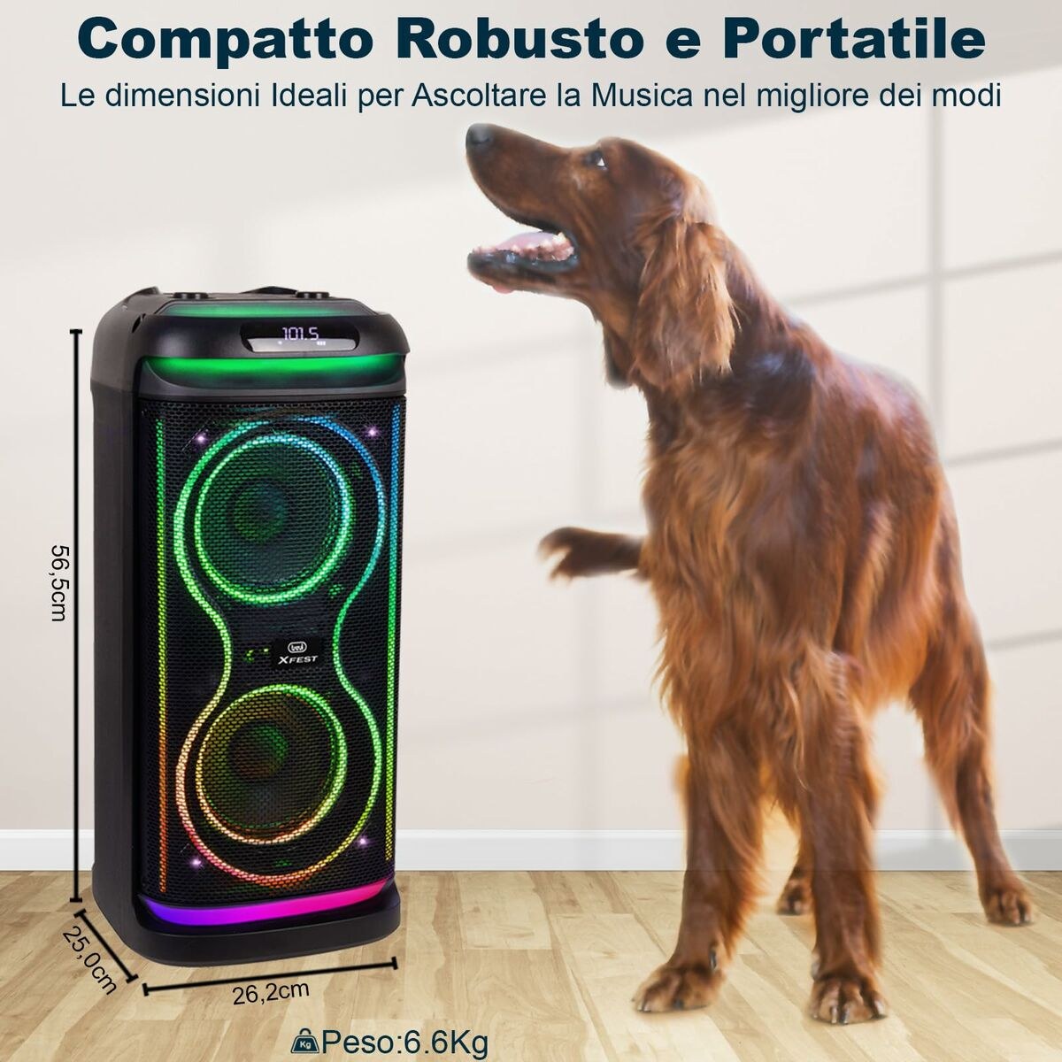 Portable Speaker XF 650 KB