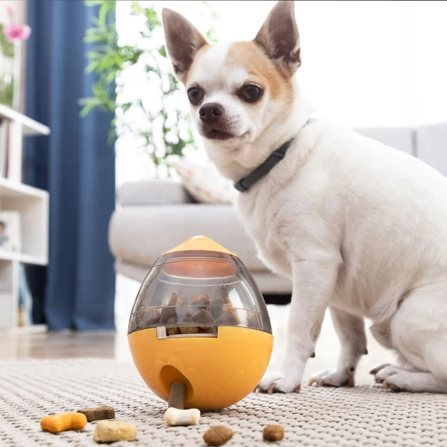 2-In-1 Treat Dispenser Toy for Pets Petyt