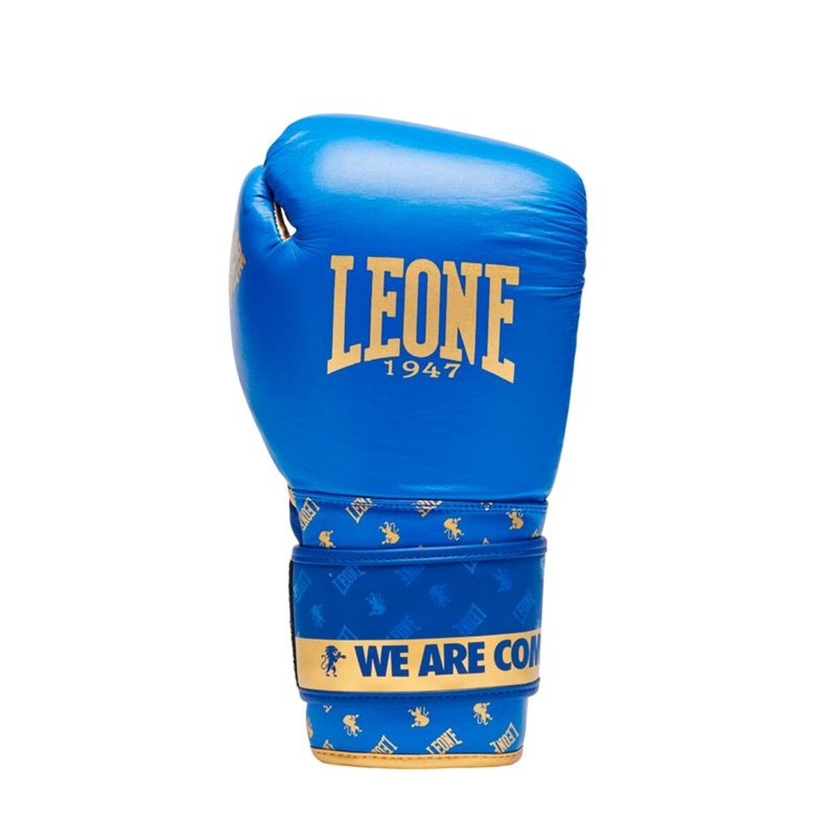 Boxing gloves DNA