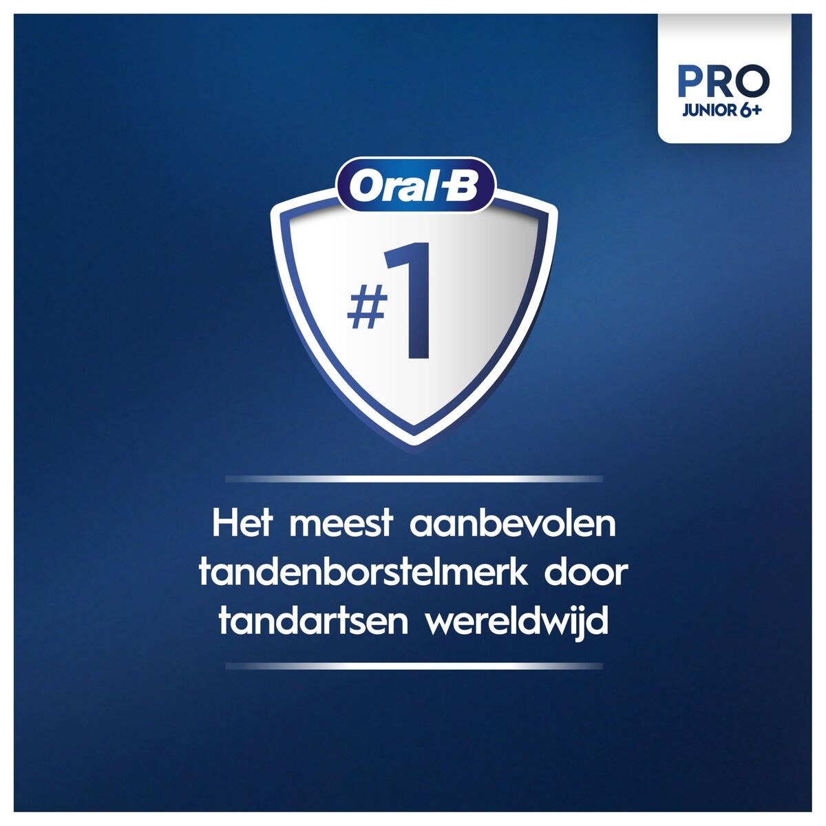 Electric Toothbrush PRO