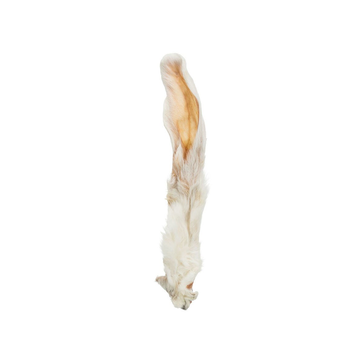 Dog Snack Rabbit Ears