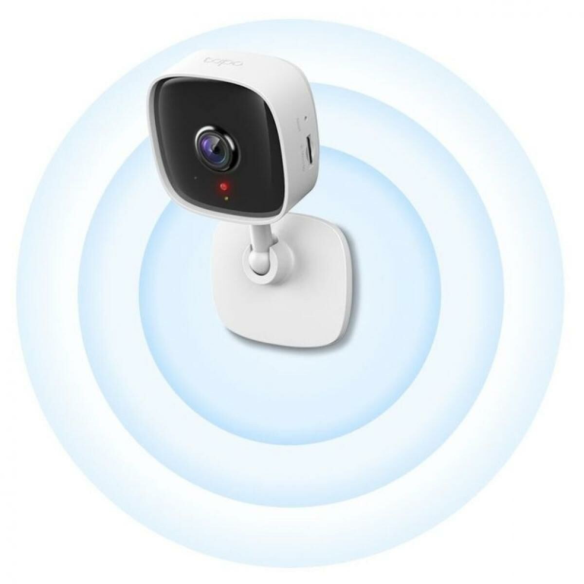 IP camera C100