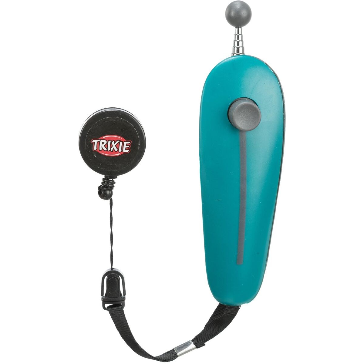 Training toy