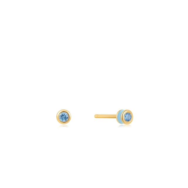 Ladies' Earrings E028-01G-B
