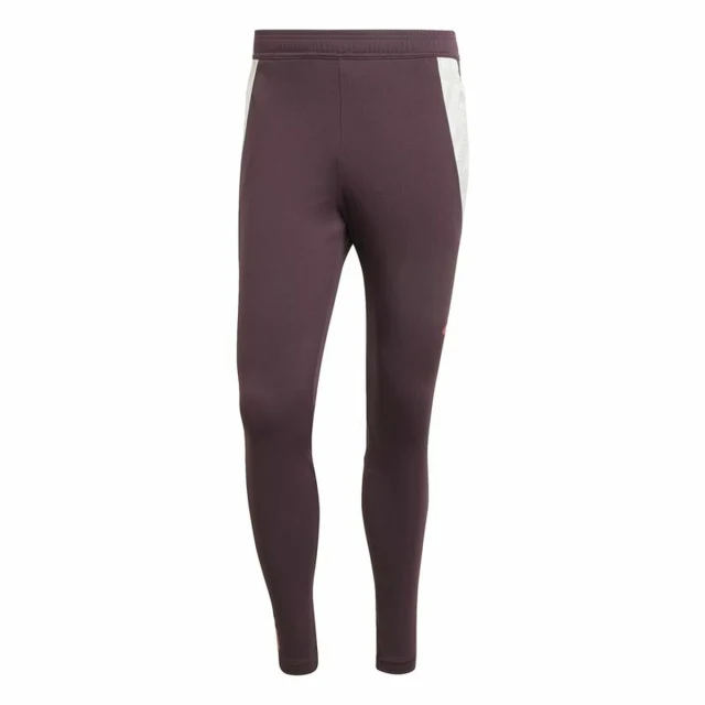 Long Sports Trousers Fc Bayern 24/25 Tiro24 Brown Maroon Men