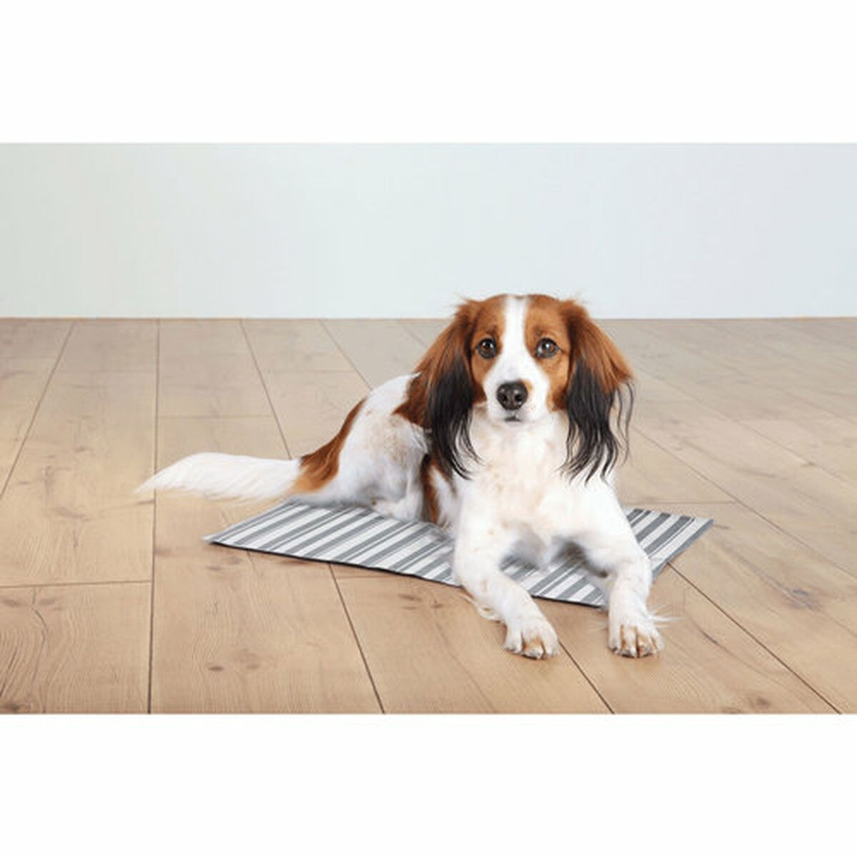 Dog Carpet White Grey Polyester 65 × 50 cm Refreshing