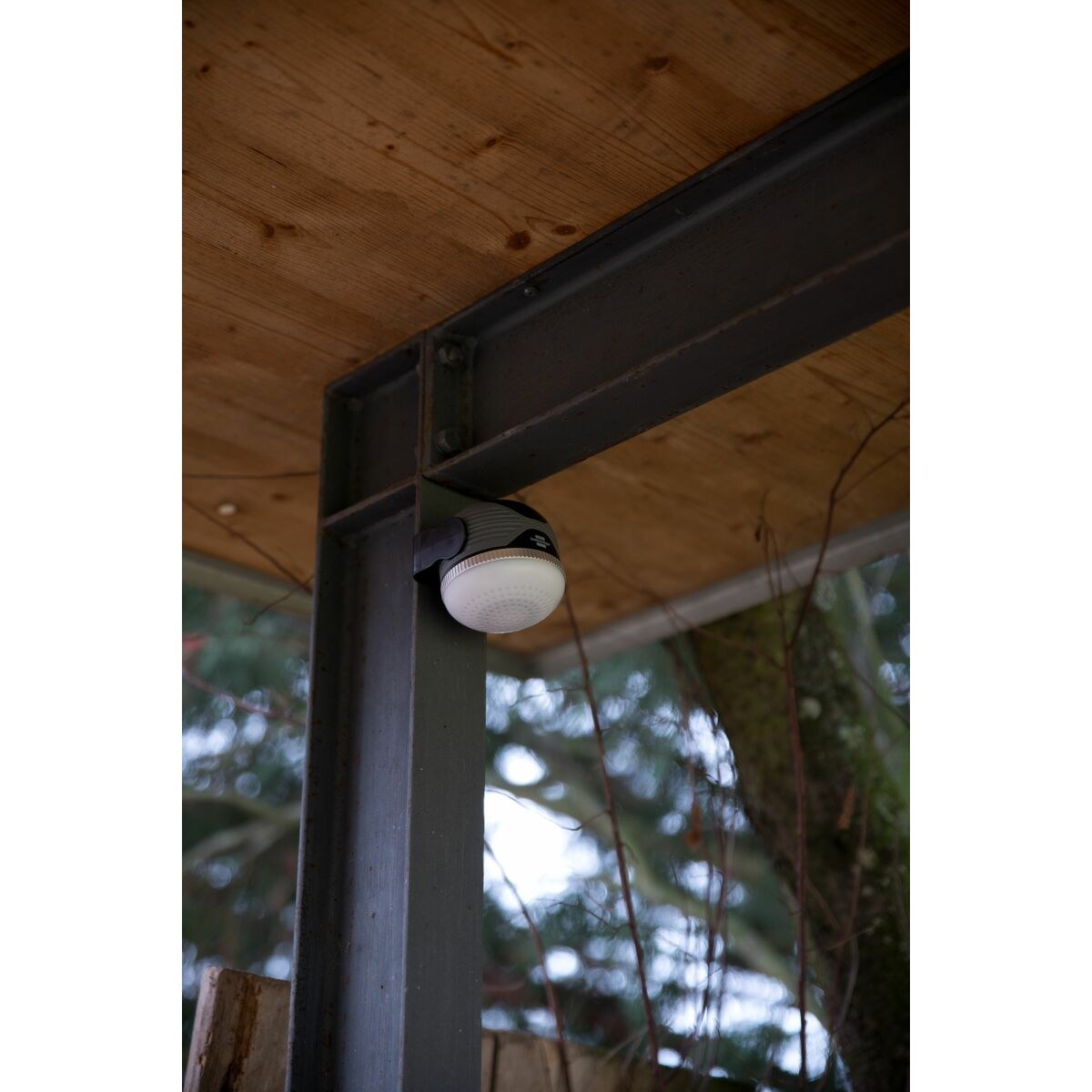 LED spotlight OLI 310 AB 350 lm