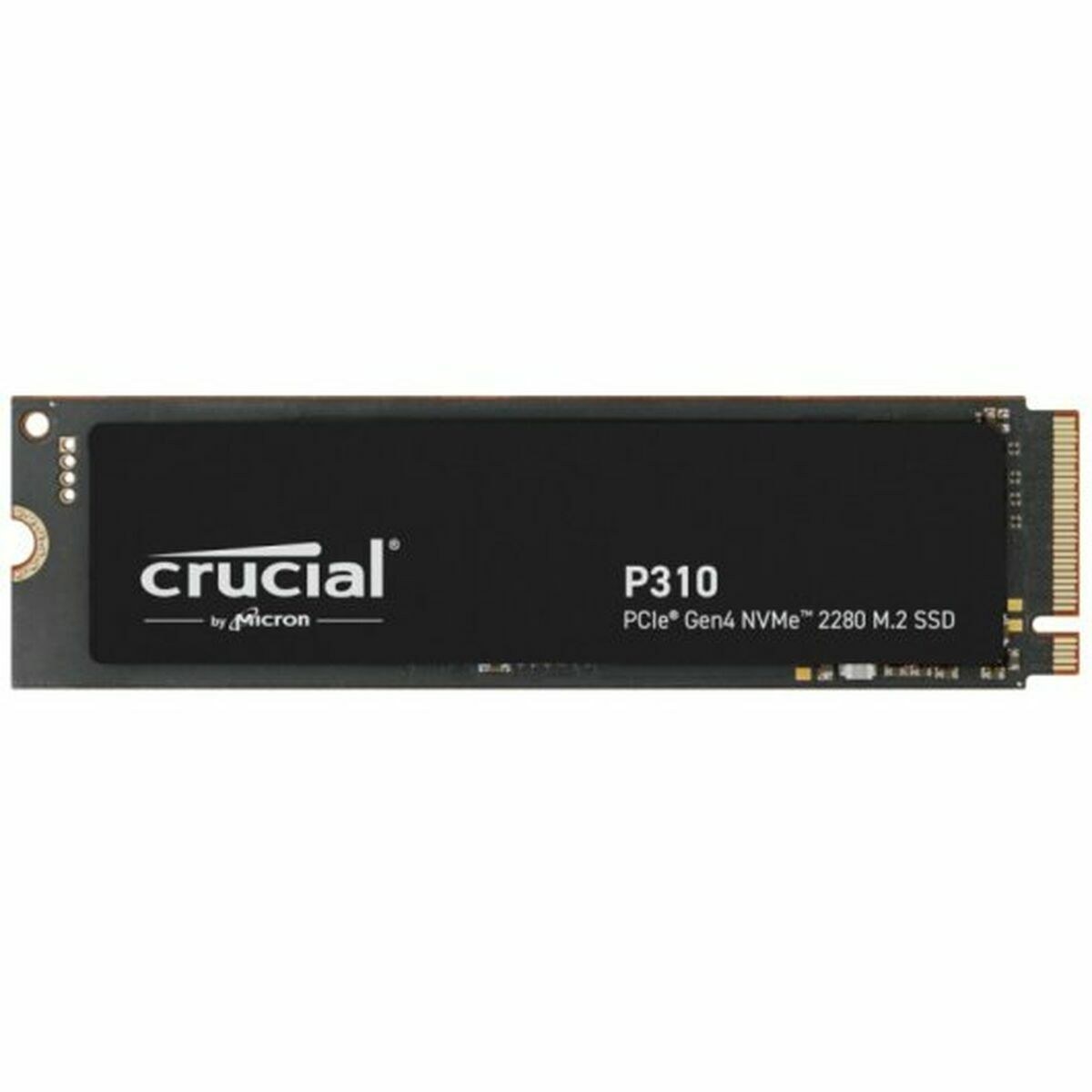 Жесткий диск P310 1 TB SSD