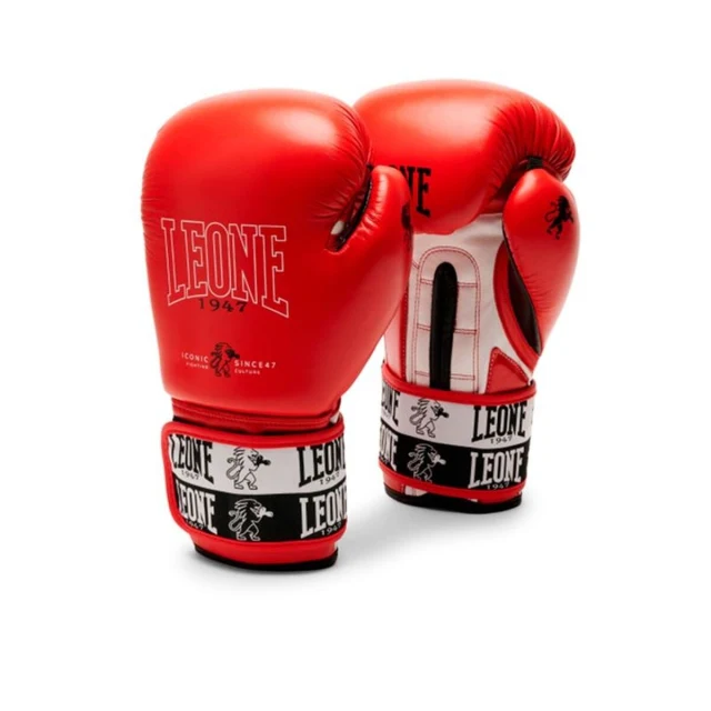 Boxing gloves ICONIC
