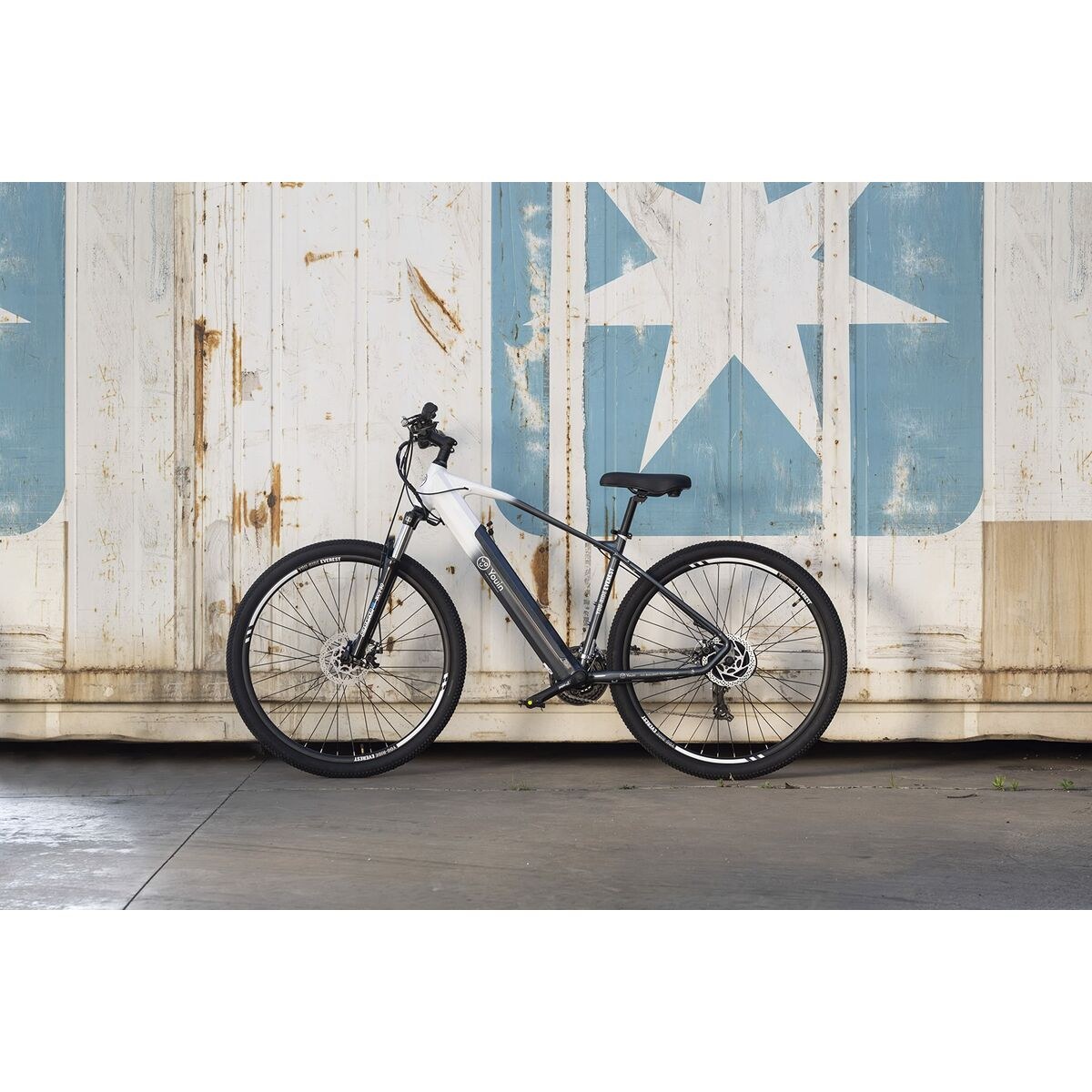 Electric Bike BK3000 EVEREST 250 W 29" Black