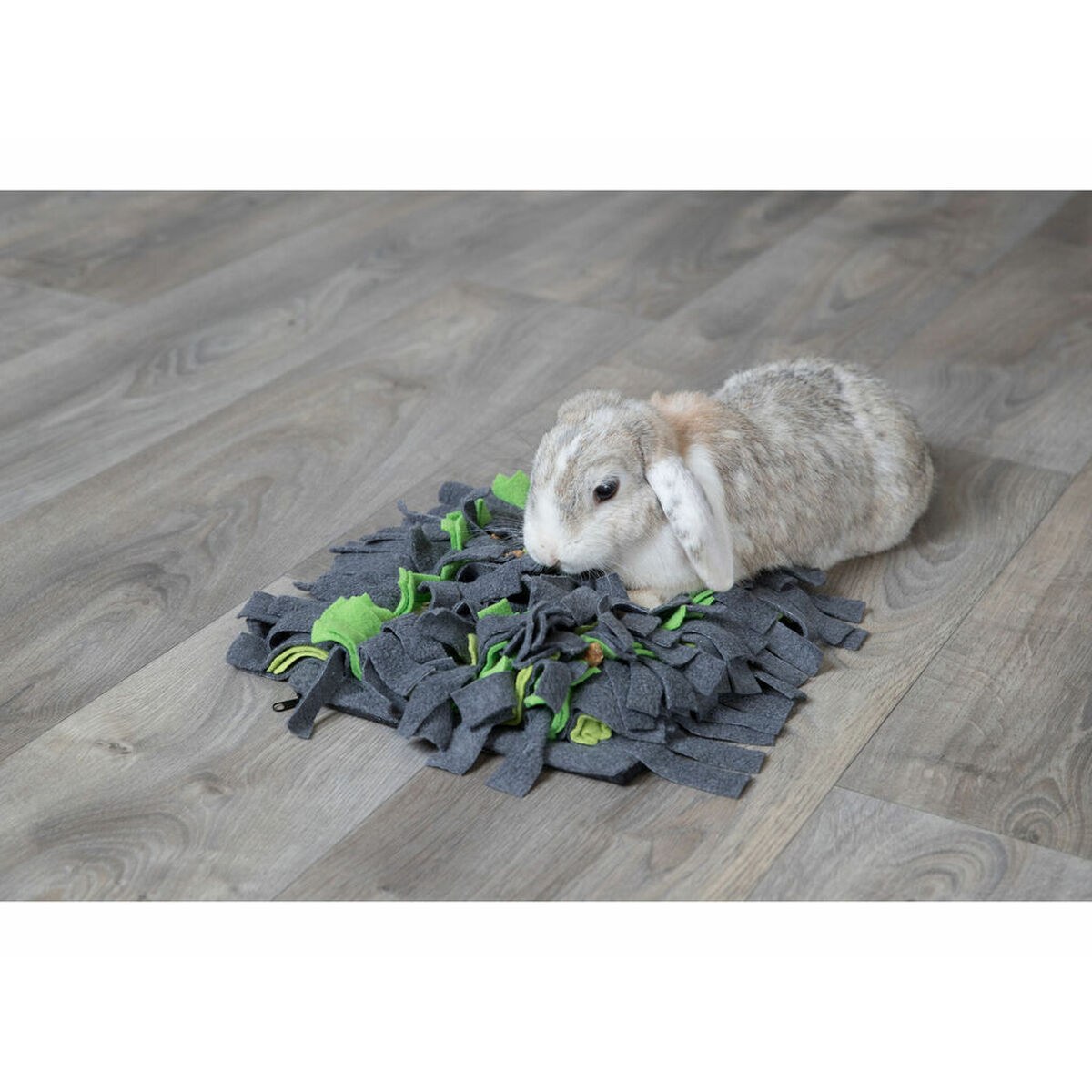 Sniffing Mat for Pets