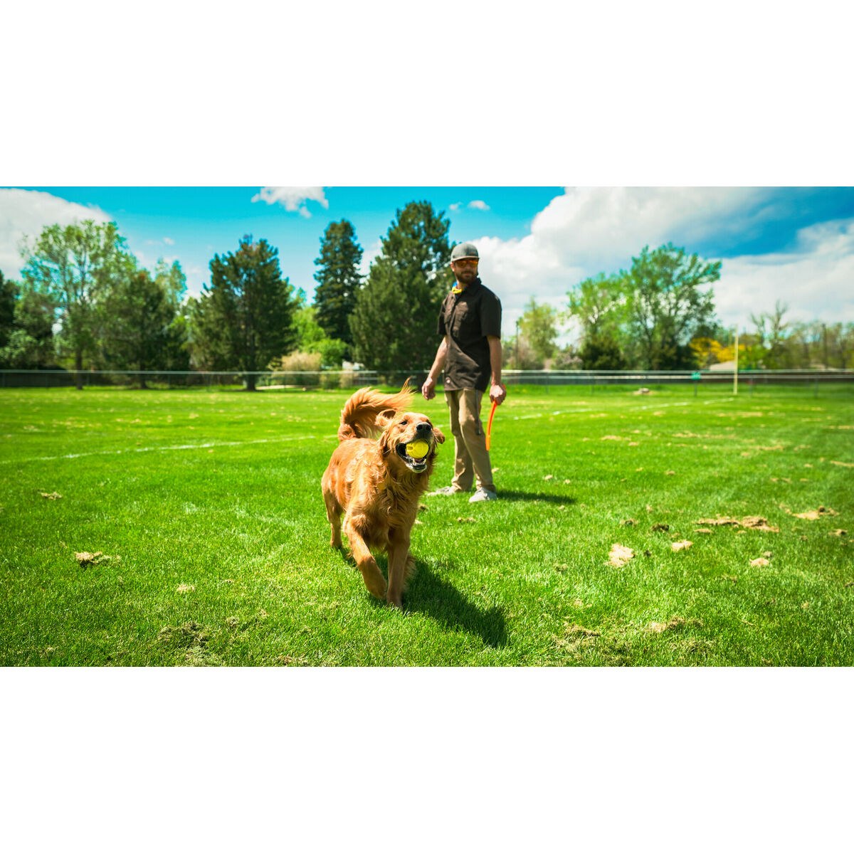 Ball Launcher for Dogs Yellow Orange Rubber Ball
