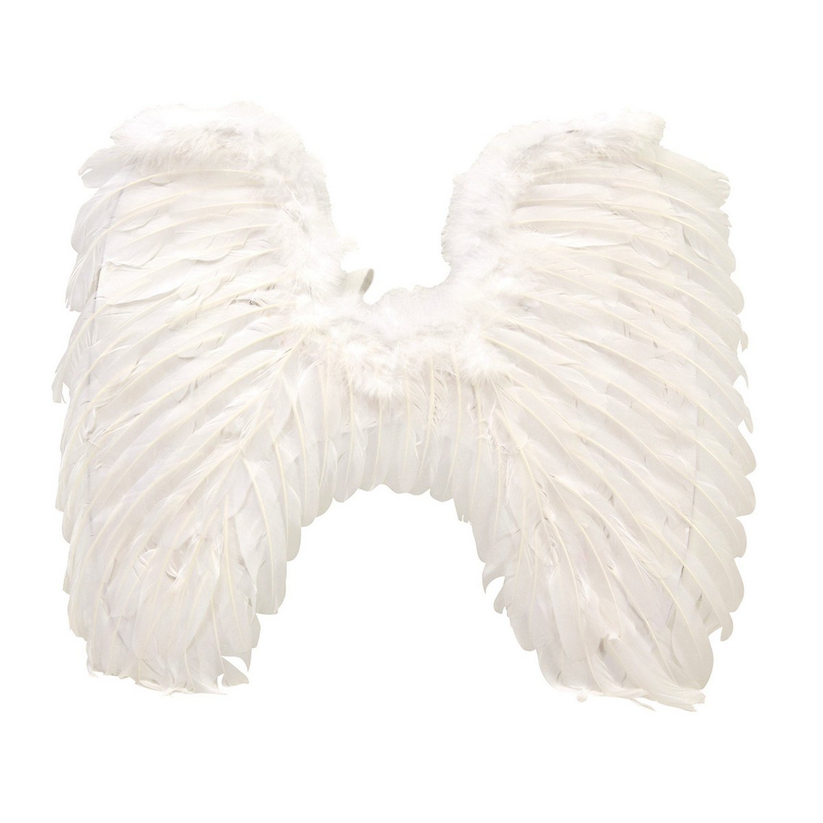 Angel Wings Adults (58 x 50 cm)