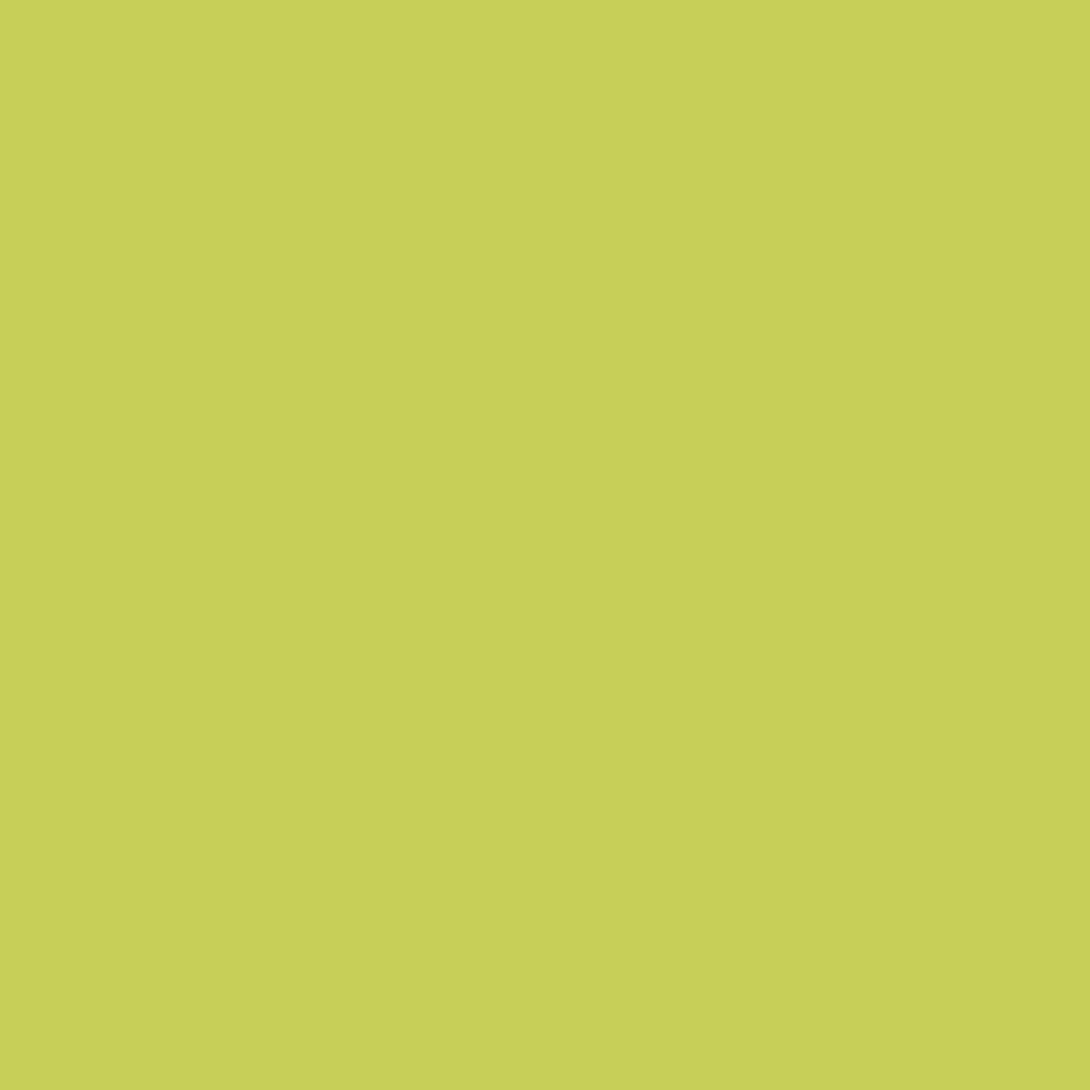 Fitted bottom sheet MIX COLORS Green Single 105 x 200 + 30 cm