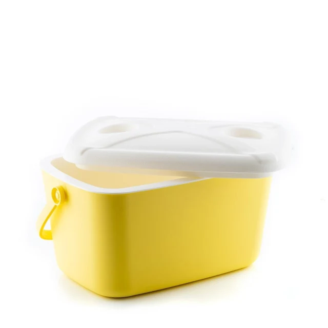Portable Rigid Cooler Yellow Turquoise 15 L (Refurbished B)