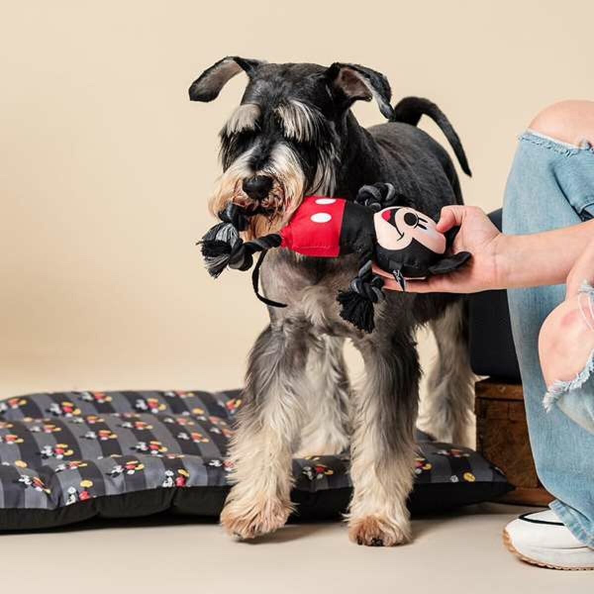 Dog toy Black 15,0 x 6,0 x 28,0 cm Plastic
