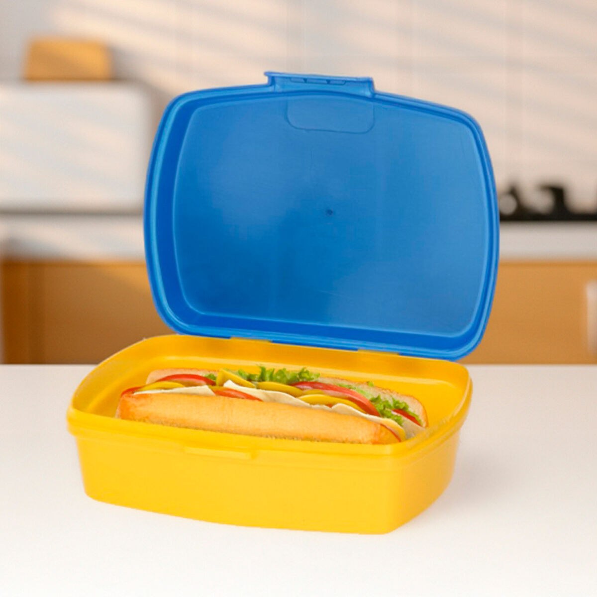 Sandwich Box Plastic 380 ml 17 x 5,5 x 13,5 cm (6 Units)