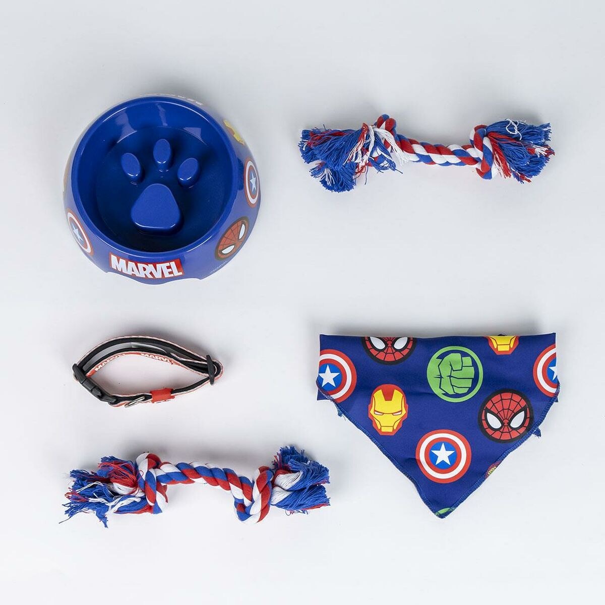 Welcome Gift Set for Dogs Blue 28,0 x 30,0 x 6,8 cm 5 Pieces